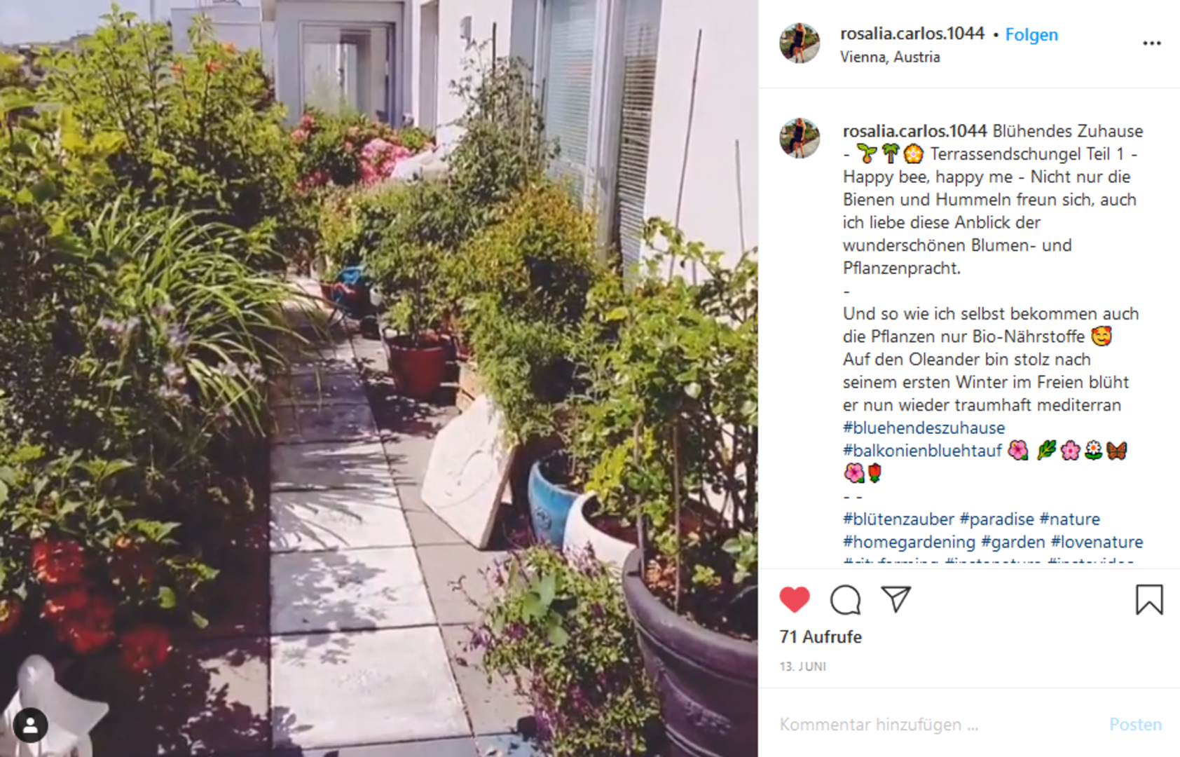 Social Media Preis_2