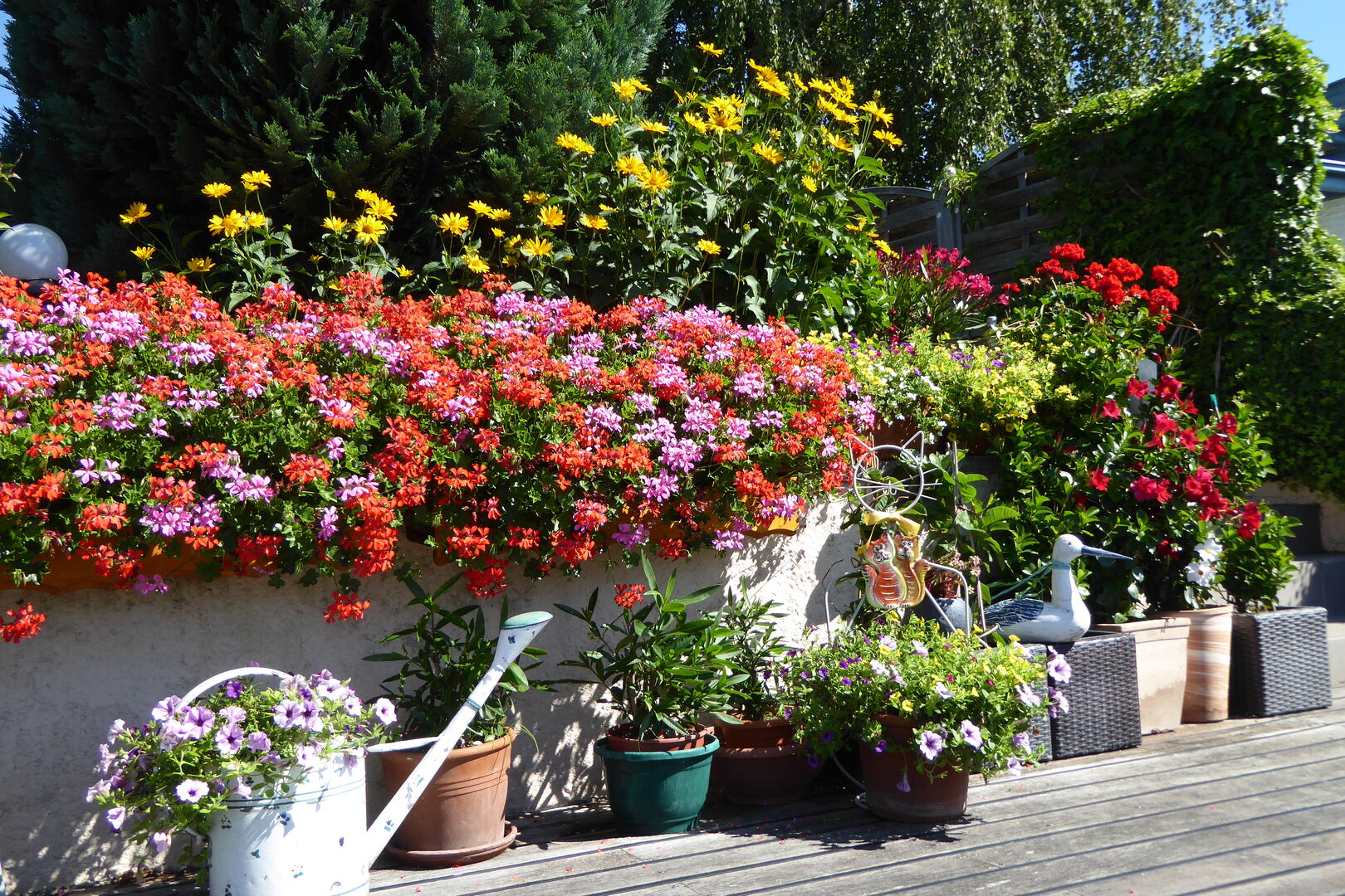Schönste Terrasse Wiens