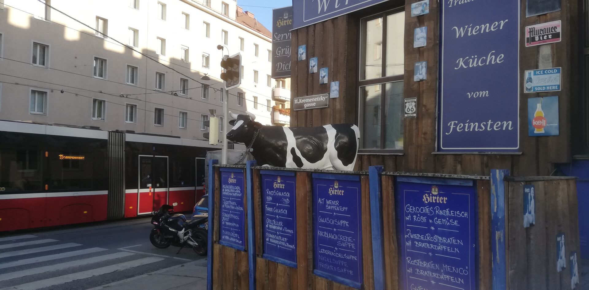 Kuh vor Straßenbahn