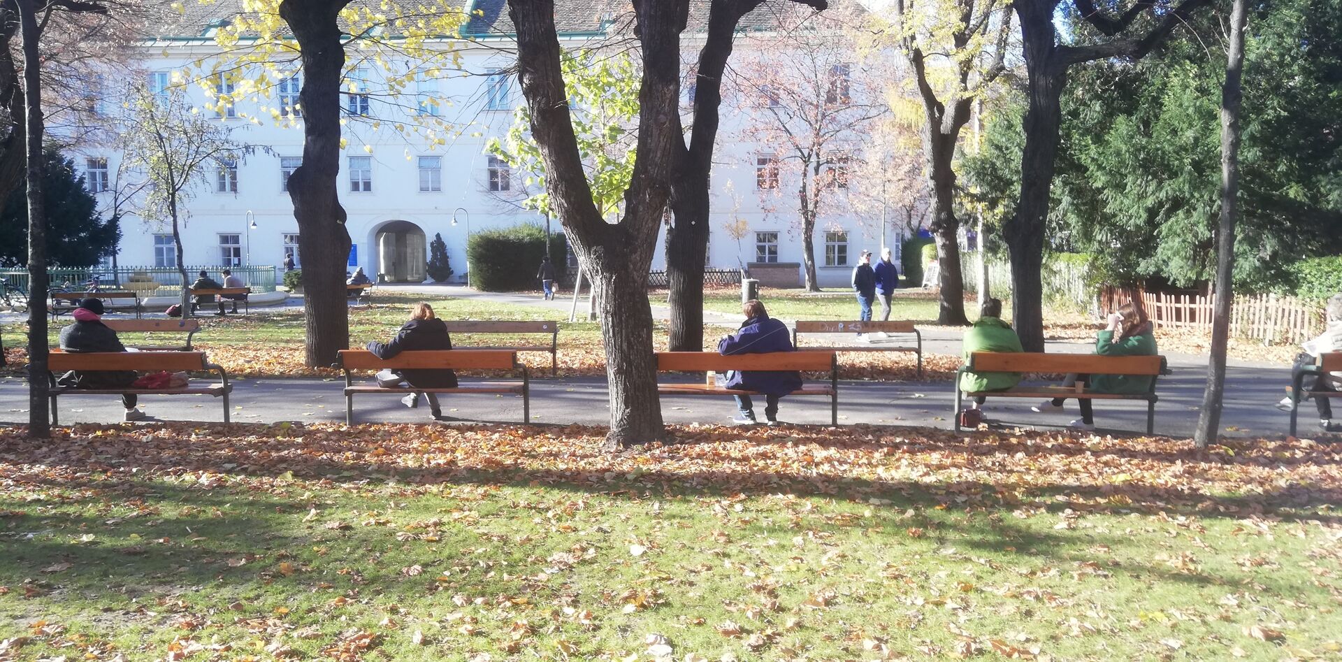 Sonnenanbeter im Alten AKH