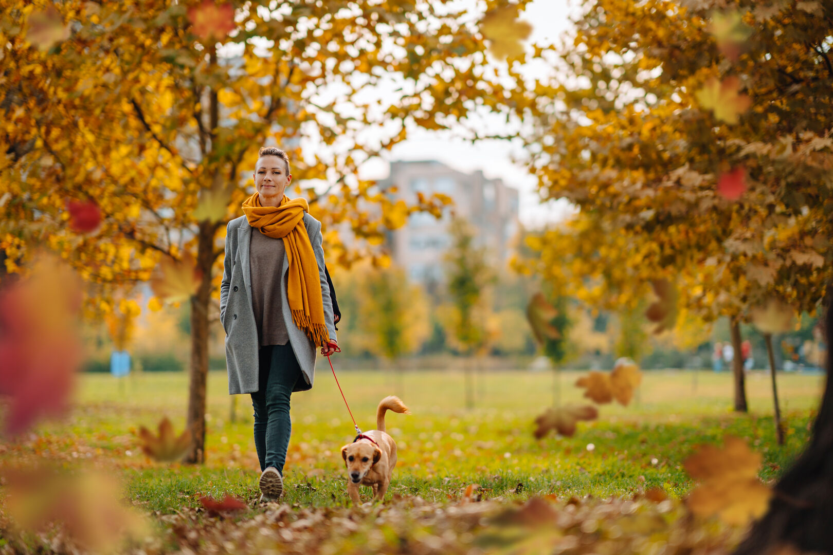 Spaziergängerin mit Hund