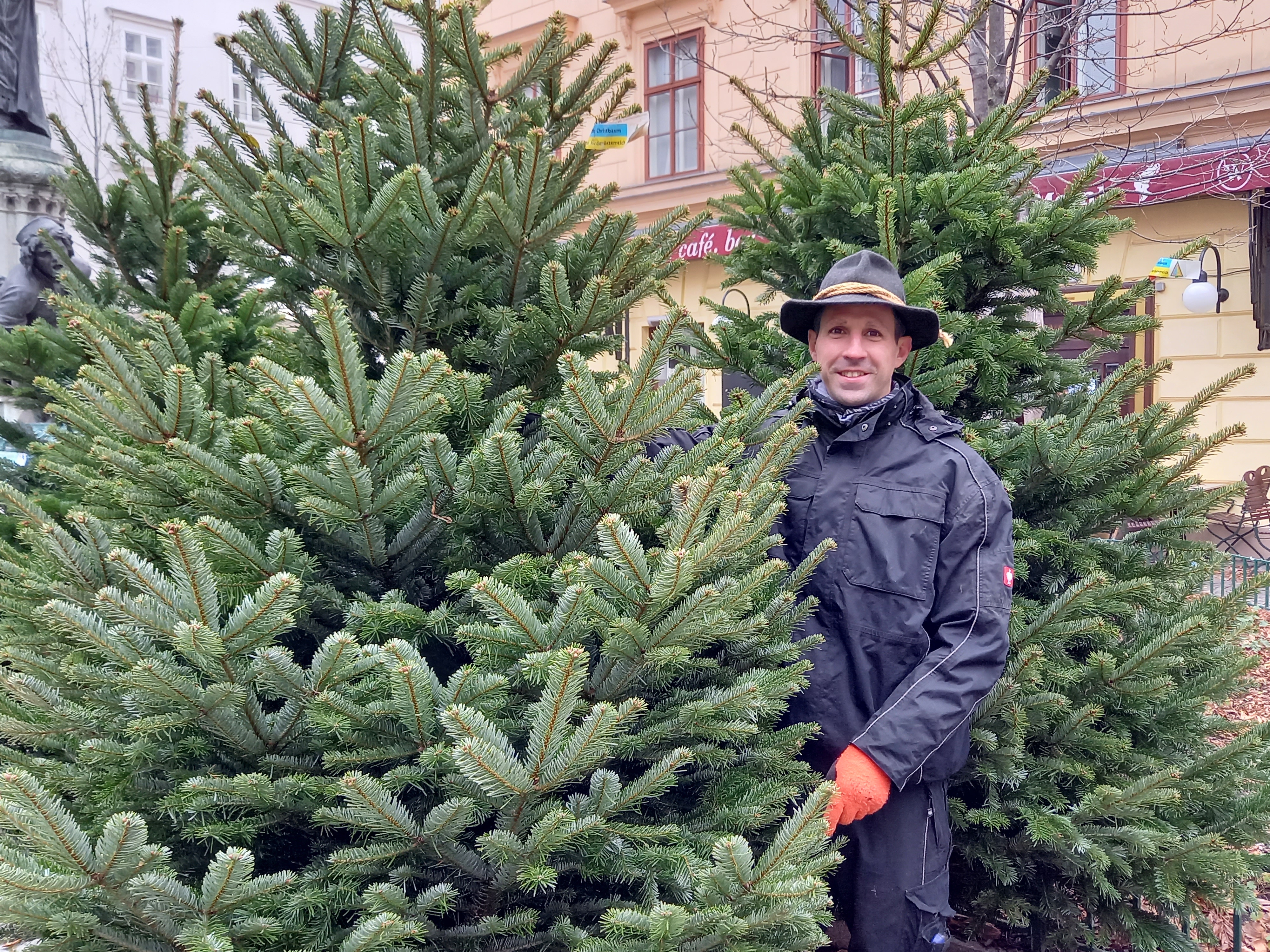 Christian Kummer verkauft Christbäume