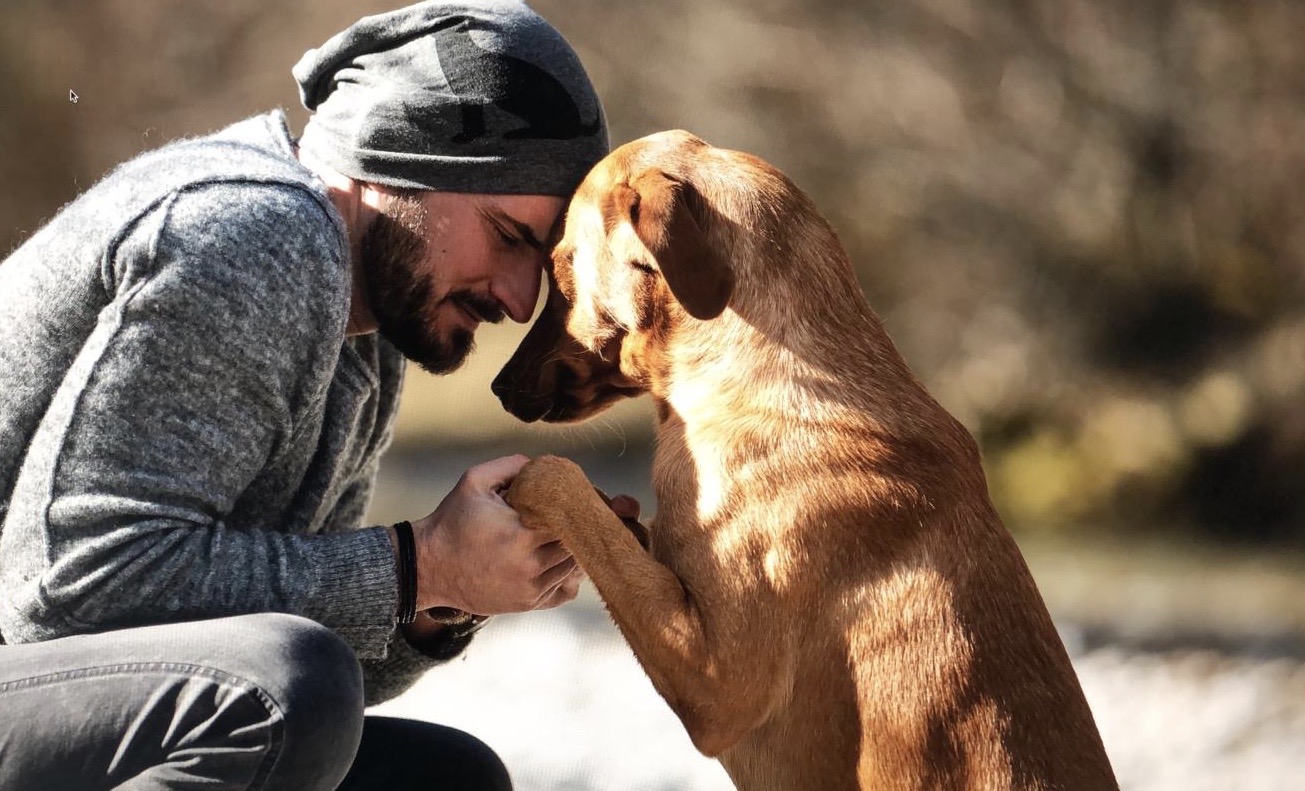 Hundeflo Florian Günther | Credit: Der Hundeflo