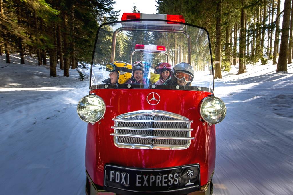 Foxi Express am Präbichl