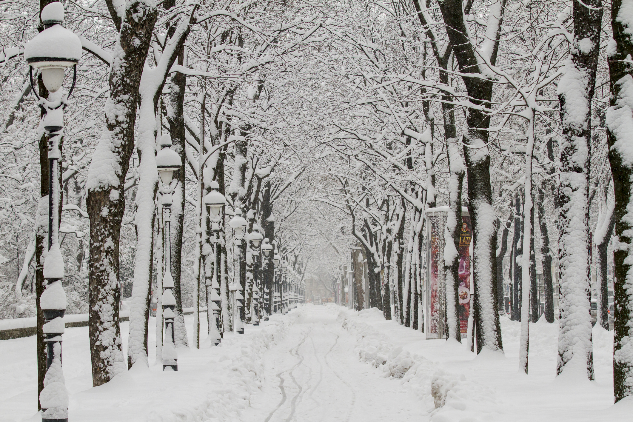 Winterliche Straße in Wien