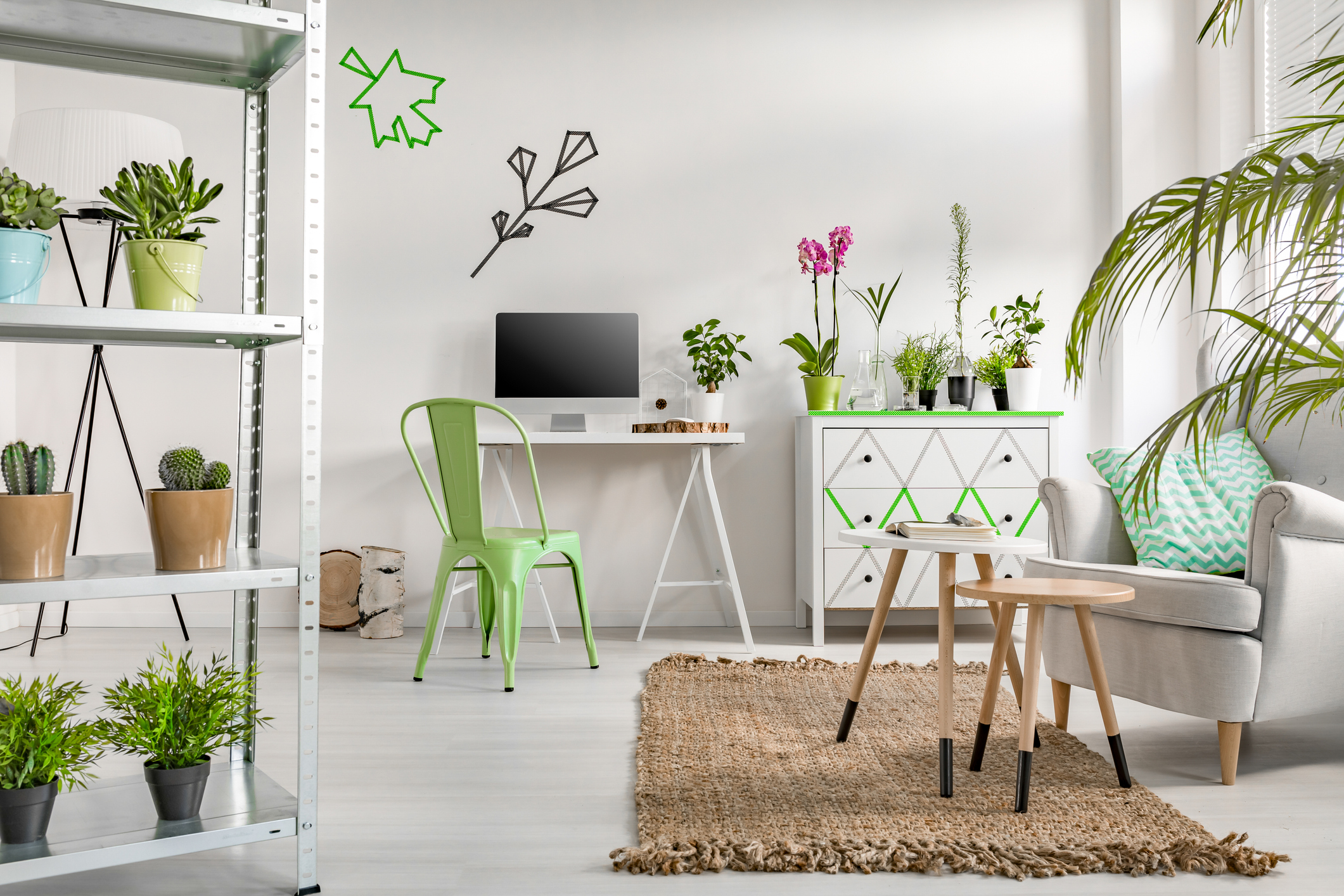 Büro mit einer Vielzahl an Pflanzen