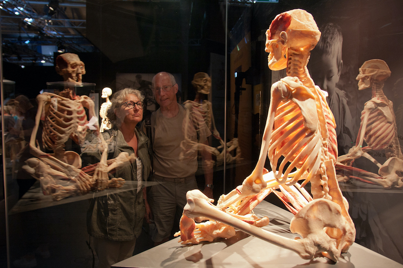 Ausstellung &quot;Körperwelten&quot; | Credit: Gunther von Hagens