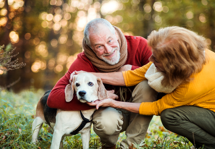 Hundesitting | Credit: iStock.com/Halfpoint