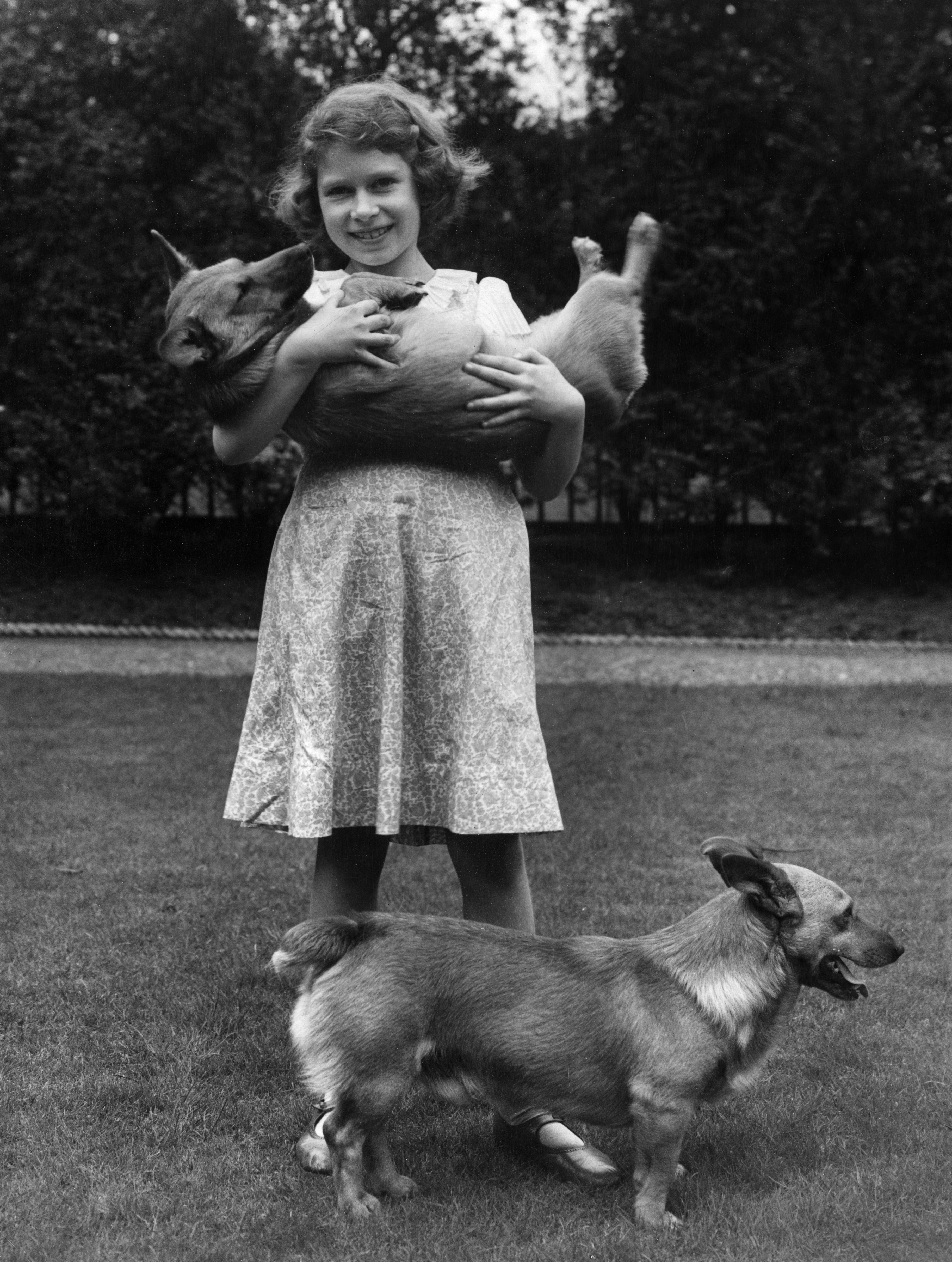 Die junge Elizabeth mit den Familien-Corgis