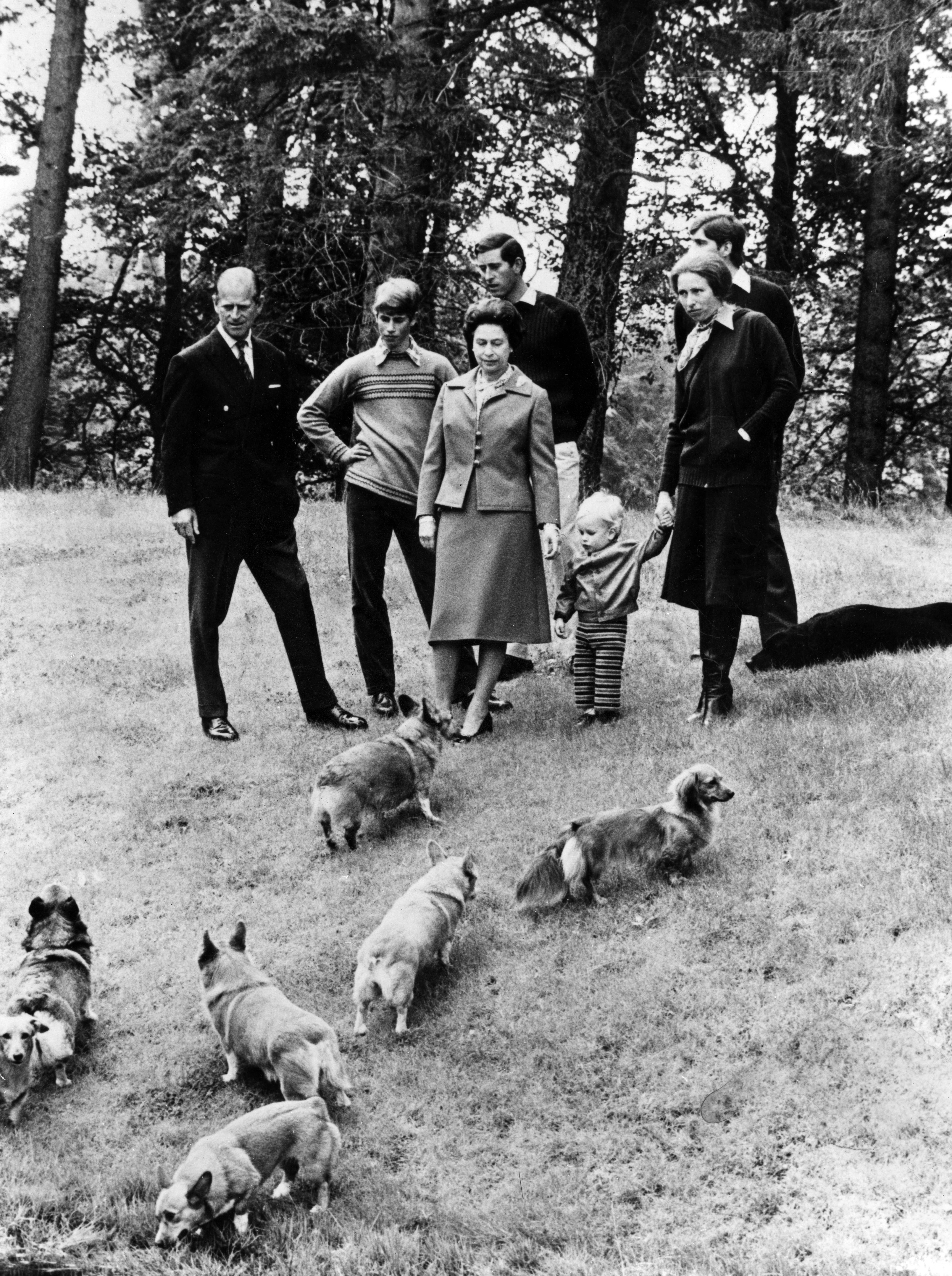 Familienfoto mit Corgis