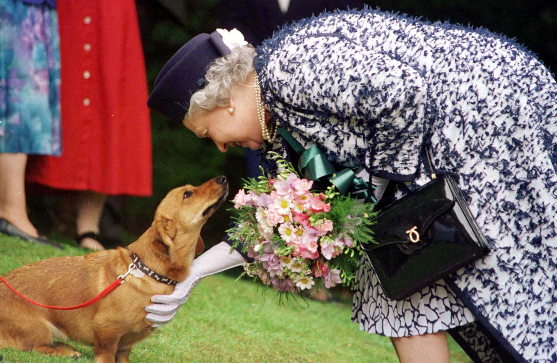 Die Queen mit einem ihrer Corgis