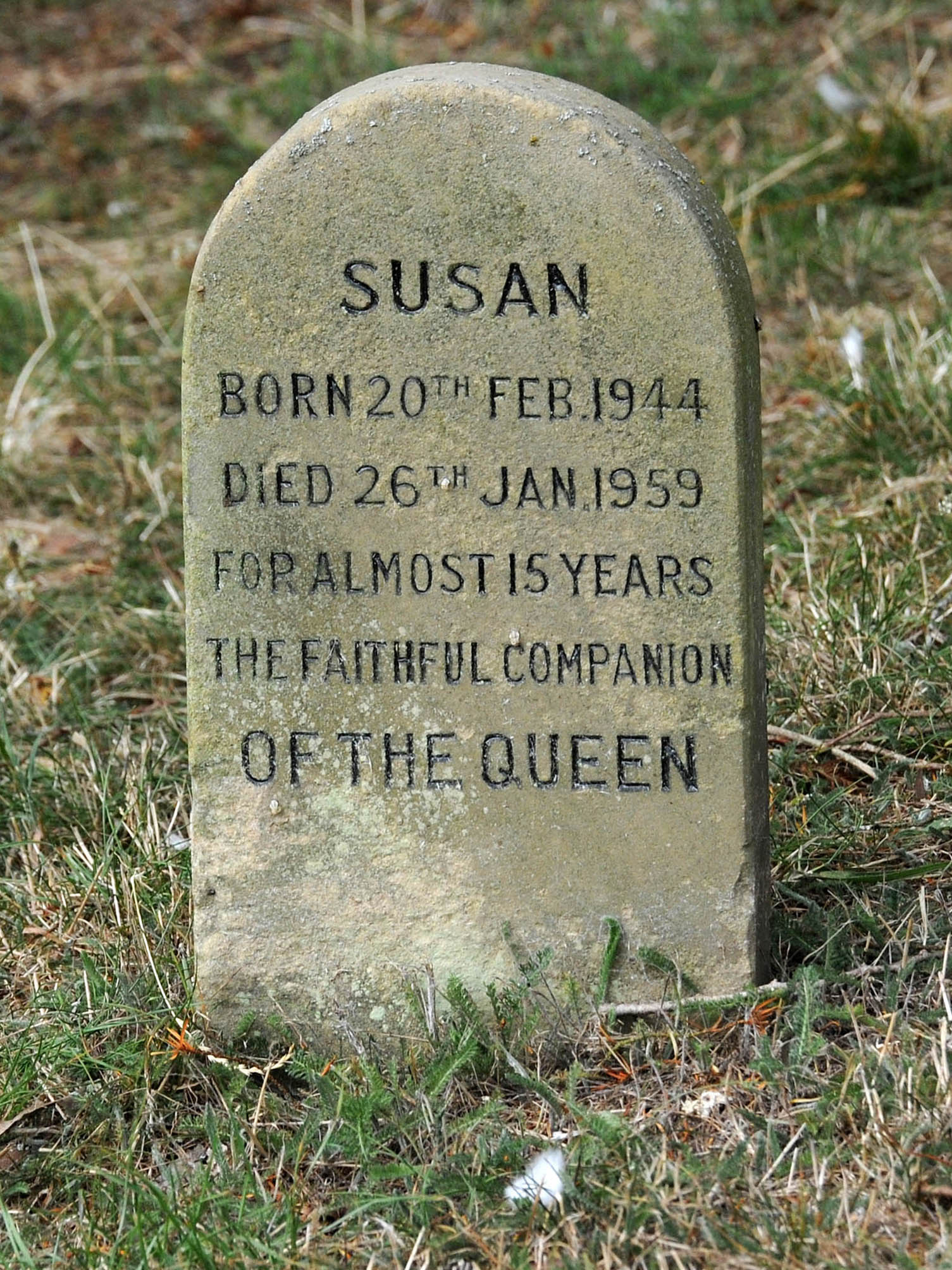 Grabstein von einem Corgi der Queen