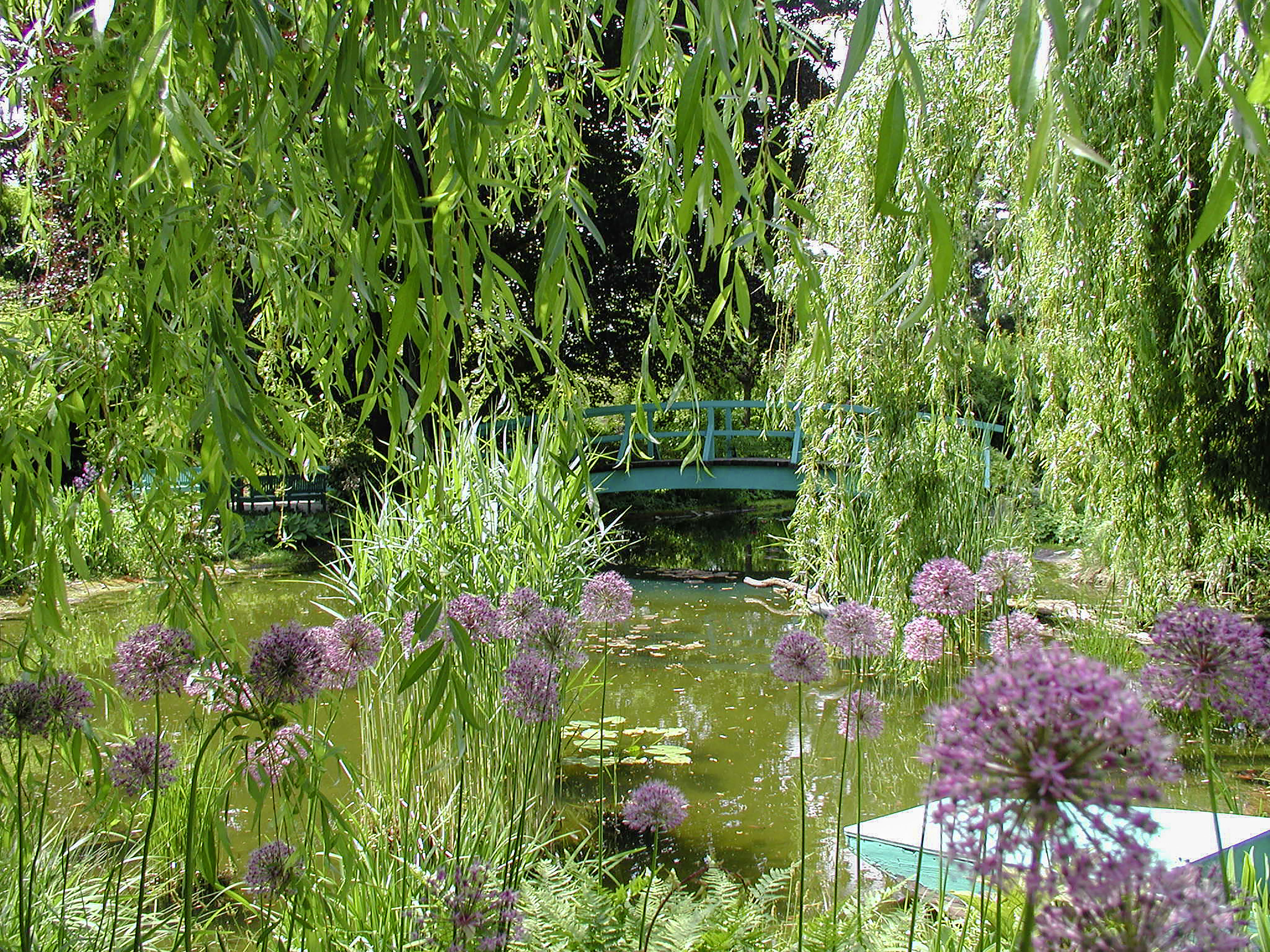 Claude Monet Garten im Schulgarten