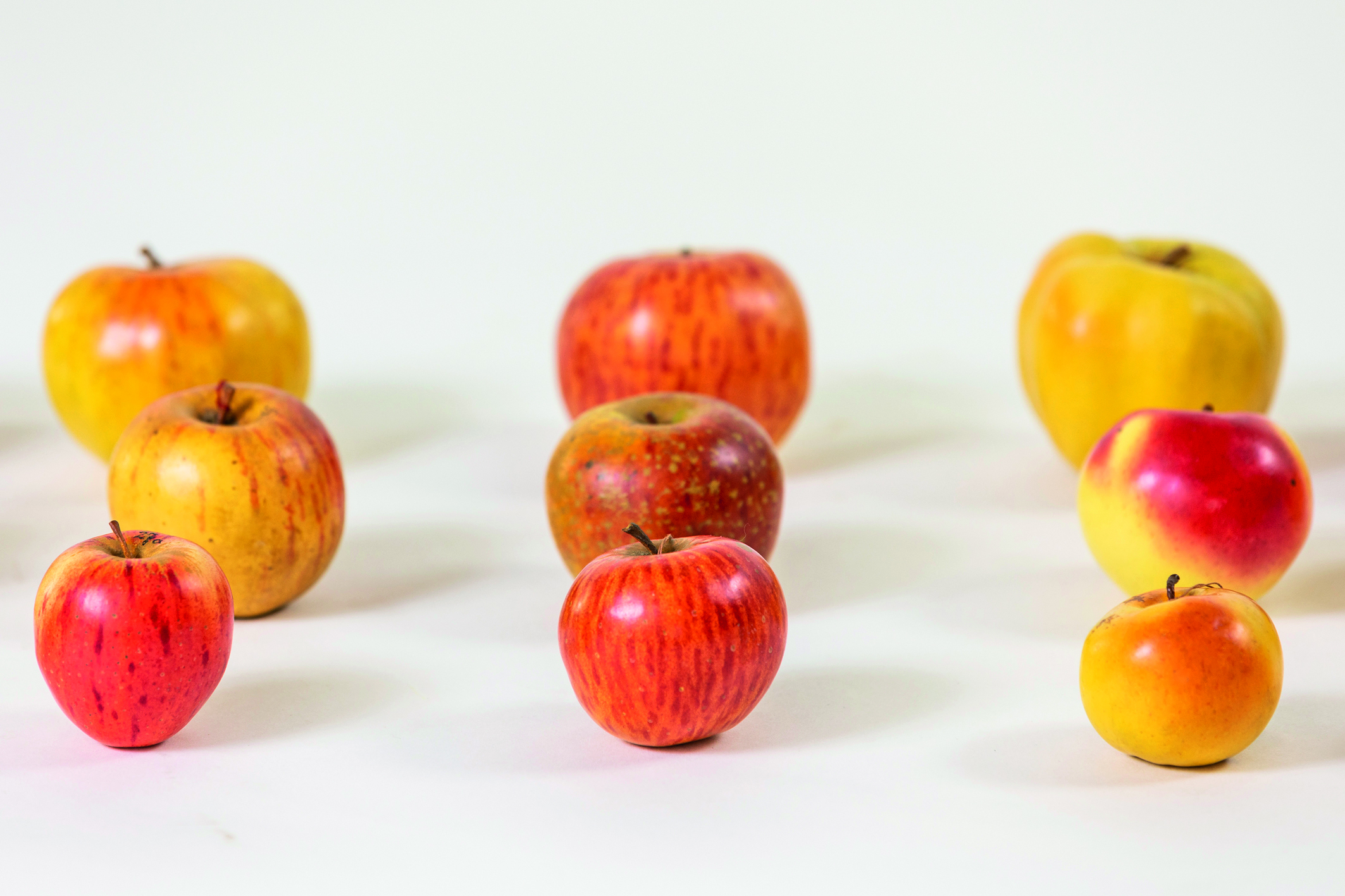 Mehrere Äpfel in drei Reihen