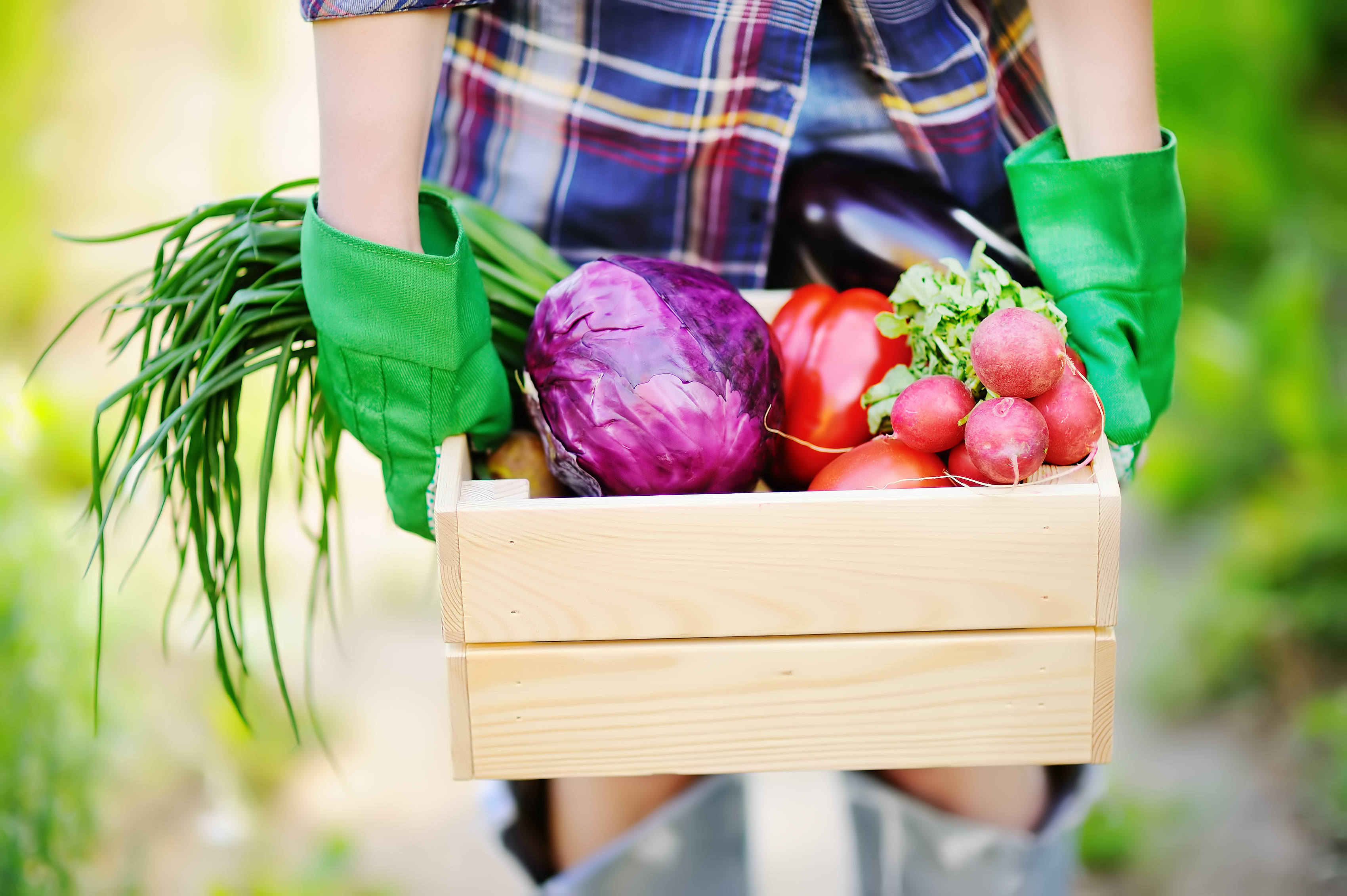 Gemüsekiste | Credit: Colourbox.de / Maria Sbytova