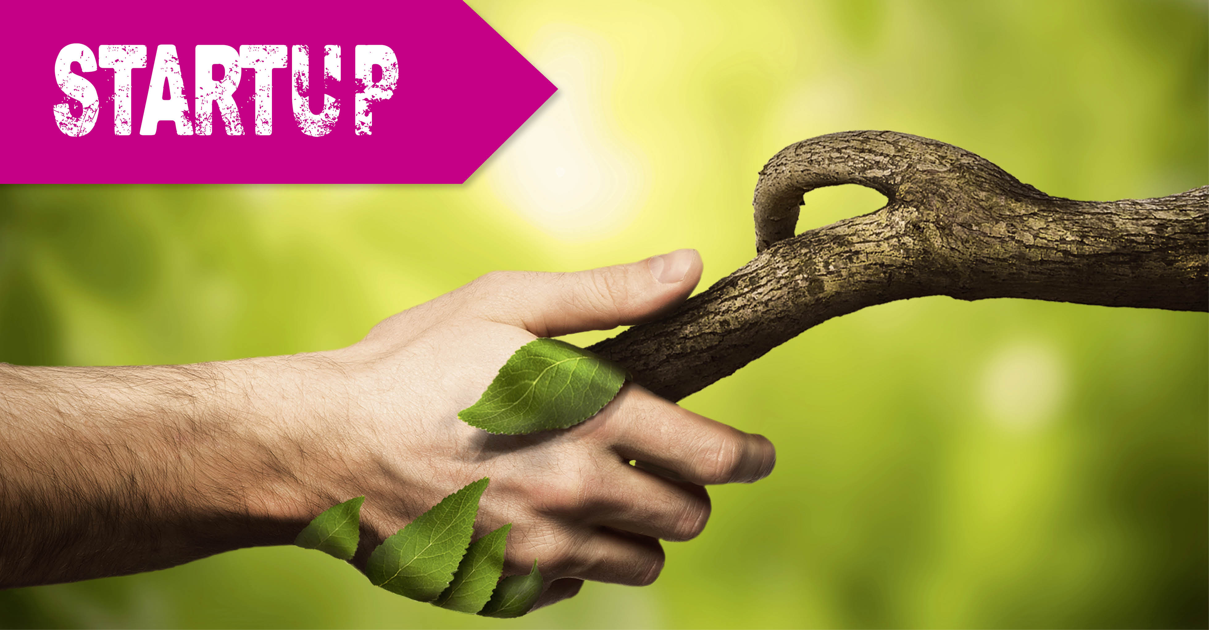 Einstiegsbild Green Sentinel