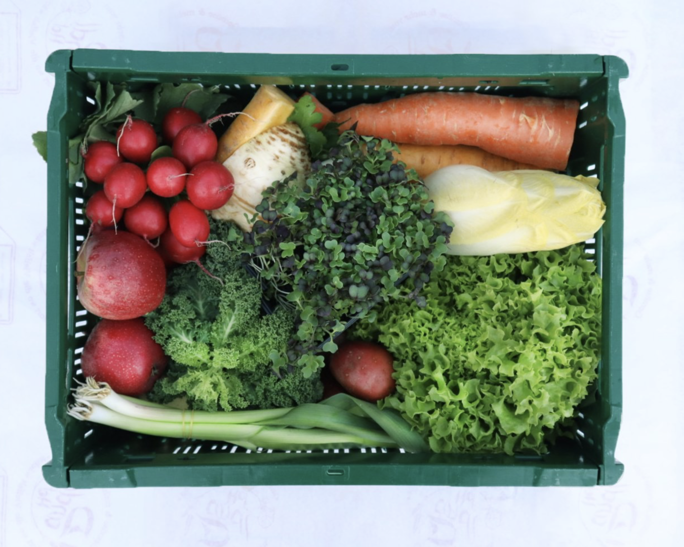 Gemüsekiste Dandlhof Wals | Credit: Dandlhof Wals