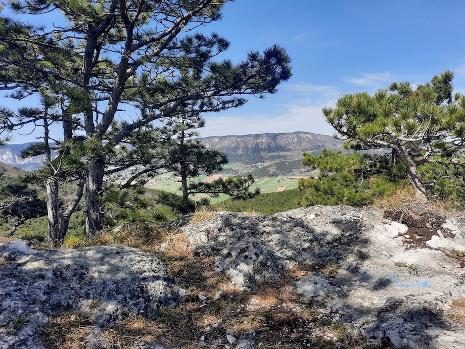 Blickfenster zur Hohen Wand.
