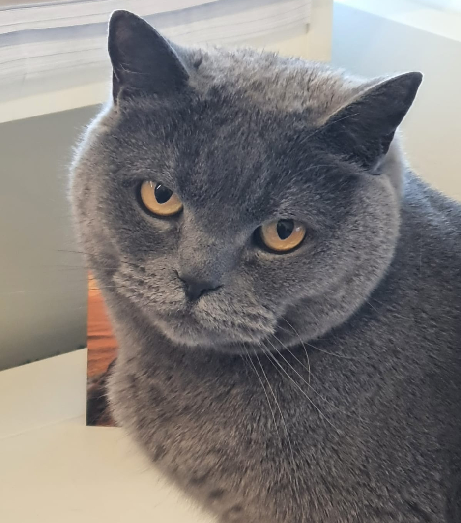 Meins! Lillis Katze in ihrem Reich | Credit: Lilli Platzer