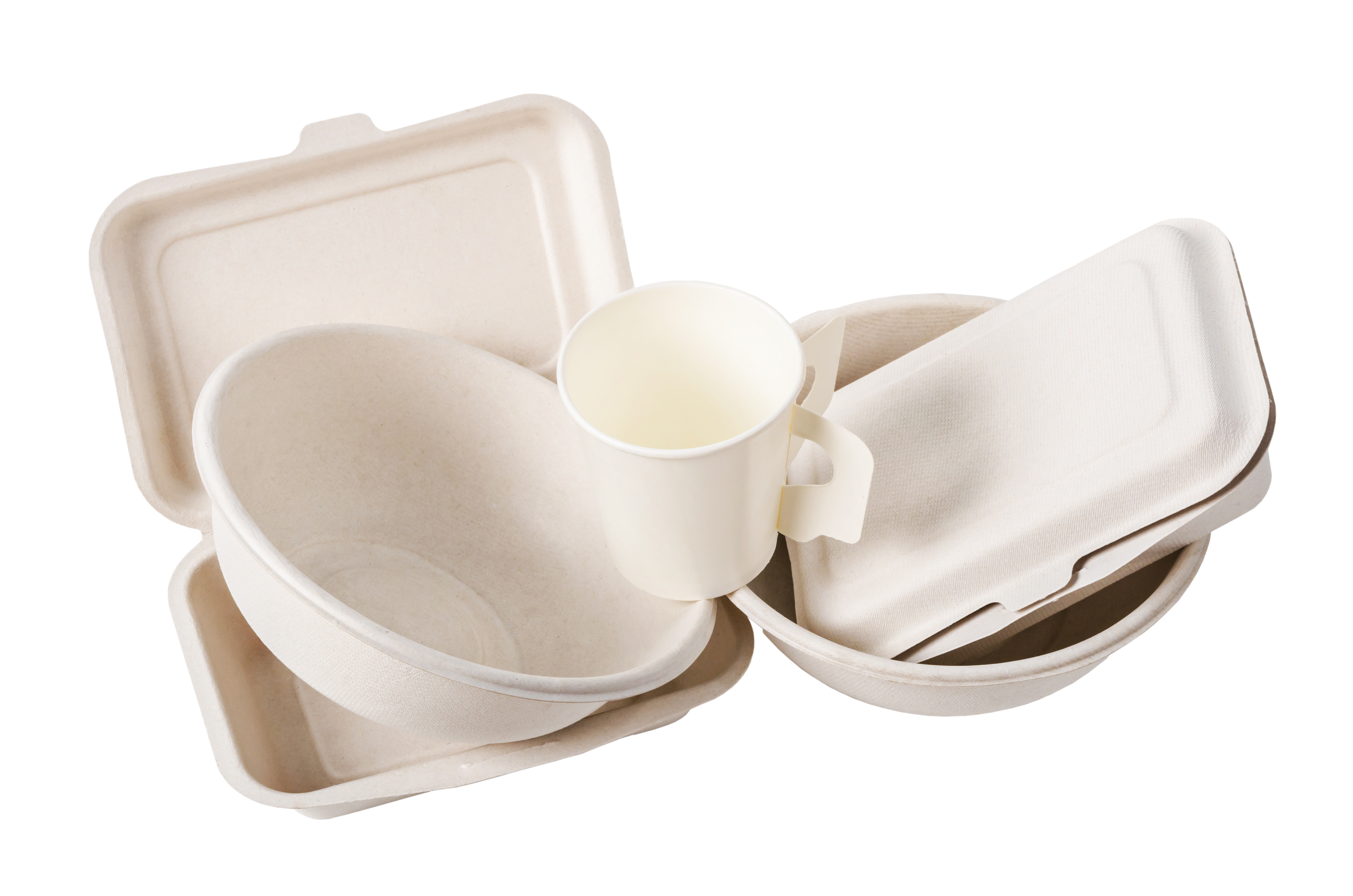 Weißes Einwegverpackungsgeschirr