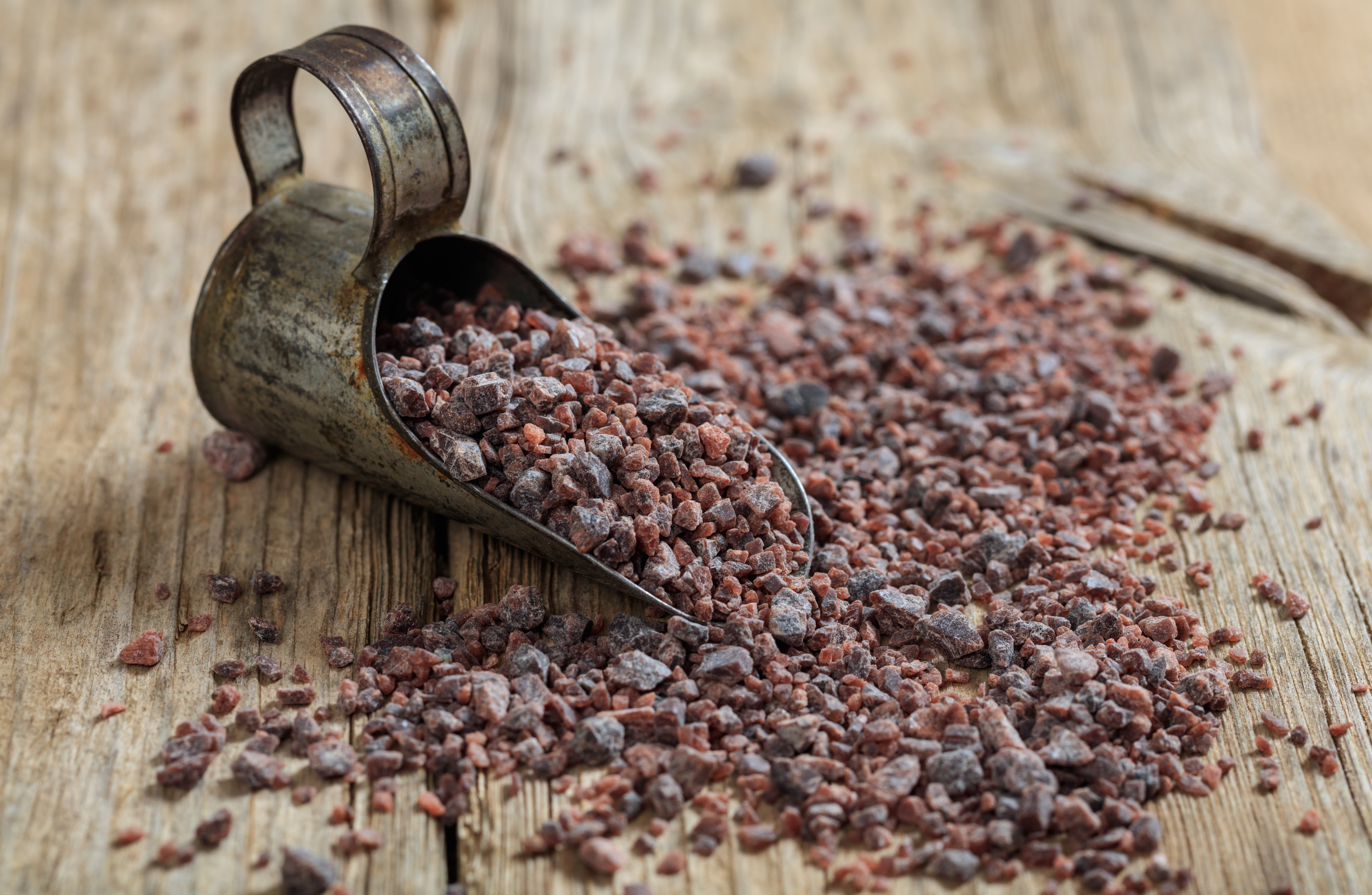 Ein Metallschöpfer auf dessen Schaufel ein Häufchen schwarzes Salz liegt