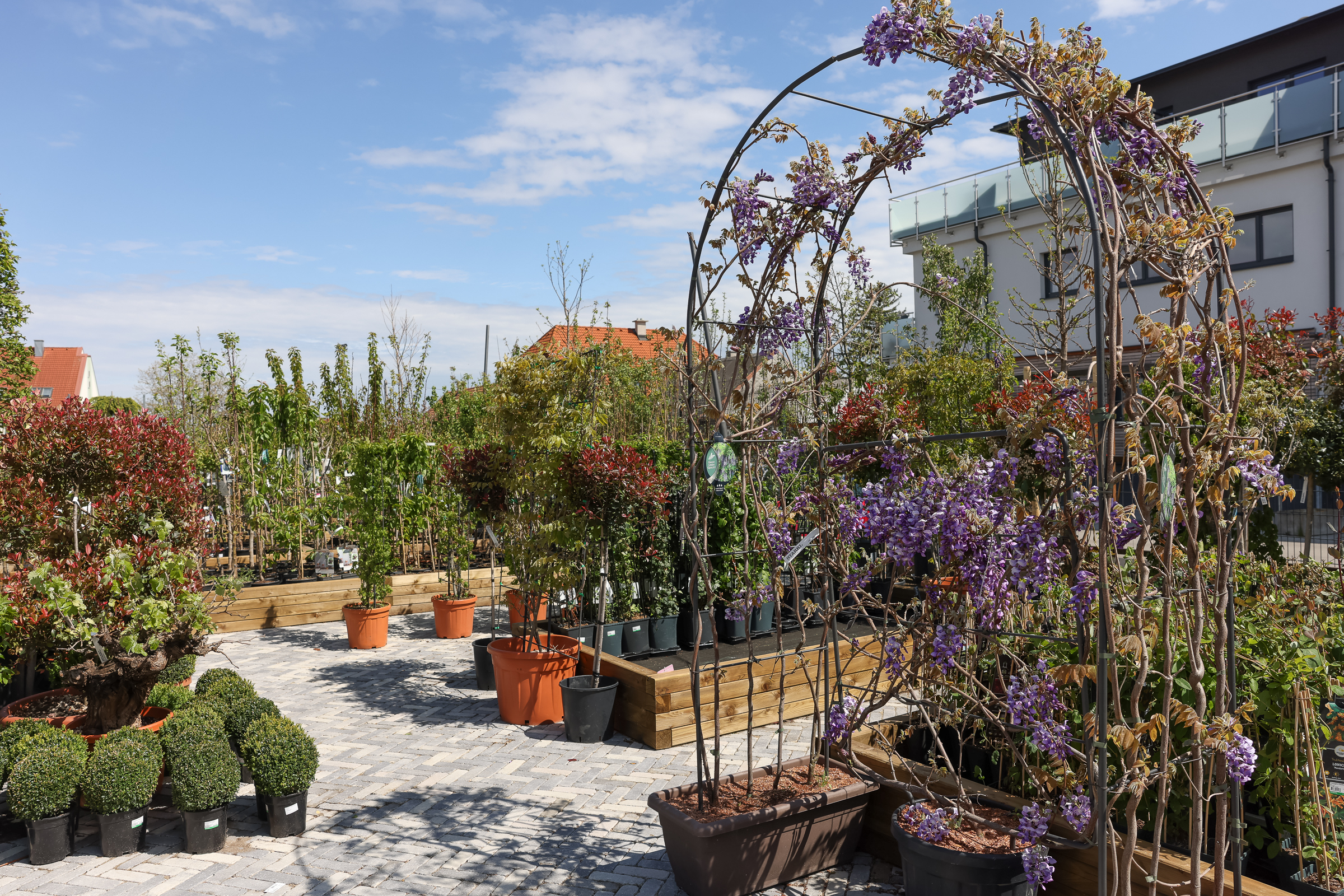 Außenbereich Starkl Loft