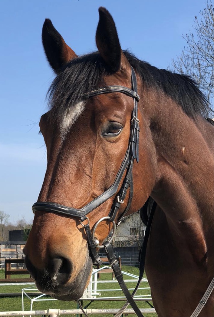 Wallach &quot;Bolero&quot; | Credit: Bernhard Auinger