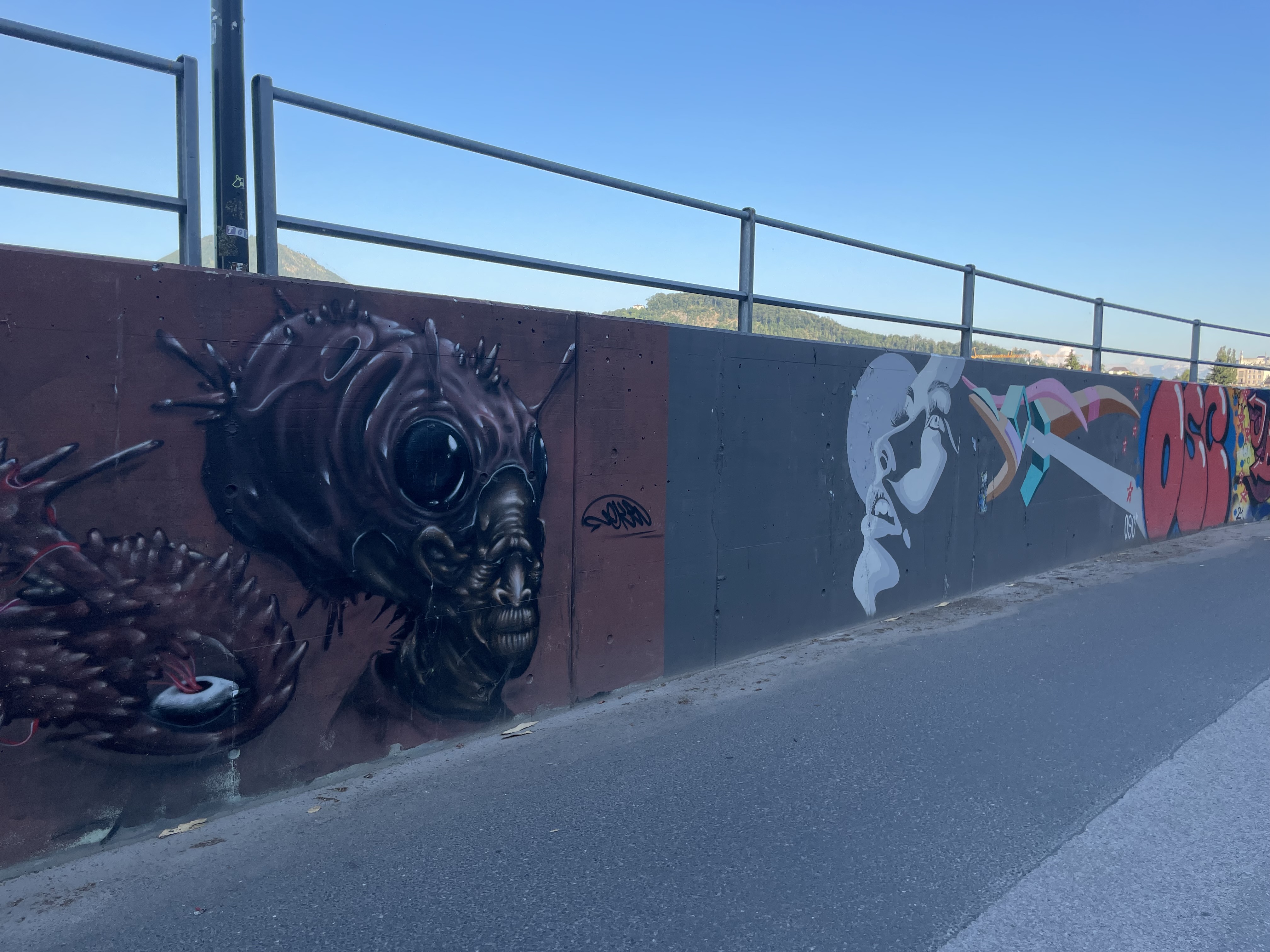 Street Art an der &quot;Salzach Gallery&quot; | Credit: Simone Reitmeier