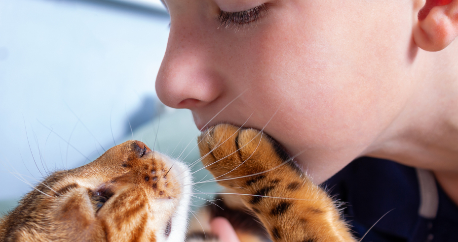 Katzen und ihre Besitzer - eine innige Beziehung | Credit: iStock.com/Anna Derzhina