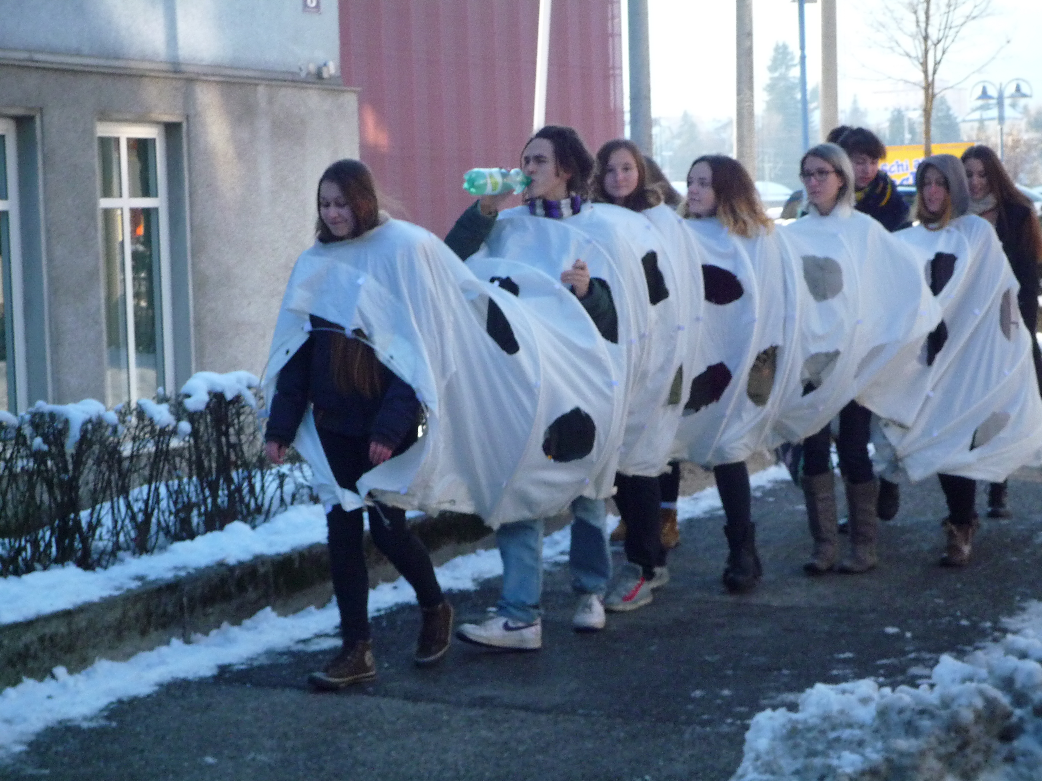 Wurm aus Stoff mit Schülern des CHS Villach