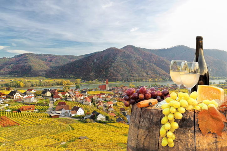Wachau | Credit: iStock.com/extravagantni