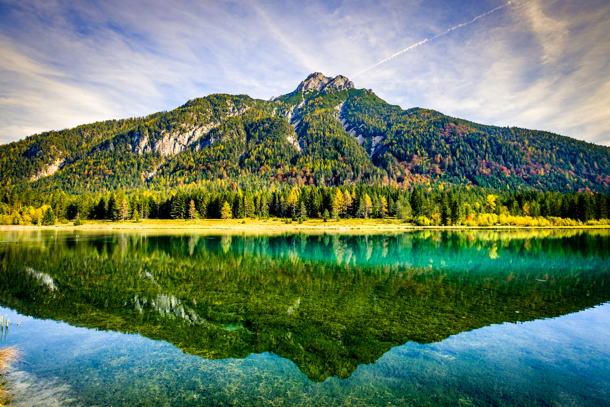 Der smaragdgrüne Pillersee vor einer bewaldeten Bergkulisse