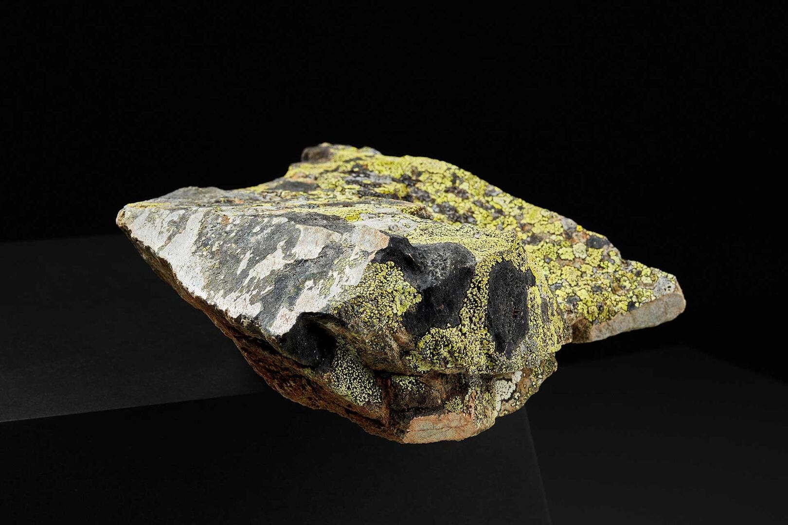 Werk von Roman Pfeffer