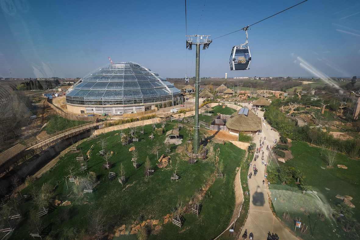 Zoo in Saint Aignan | Credit: GUILLAUME SOUVANT / AFP / picturedesk.com