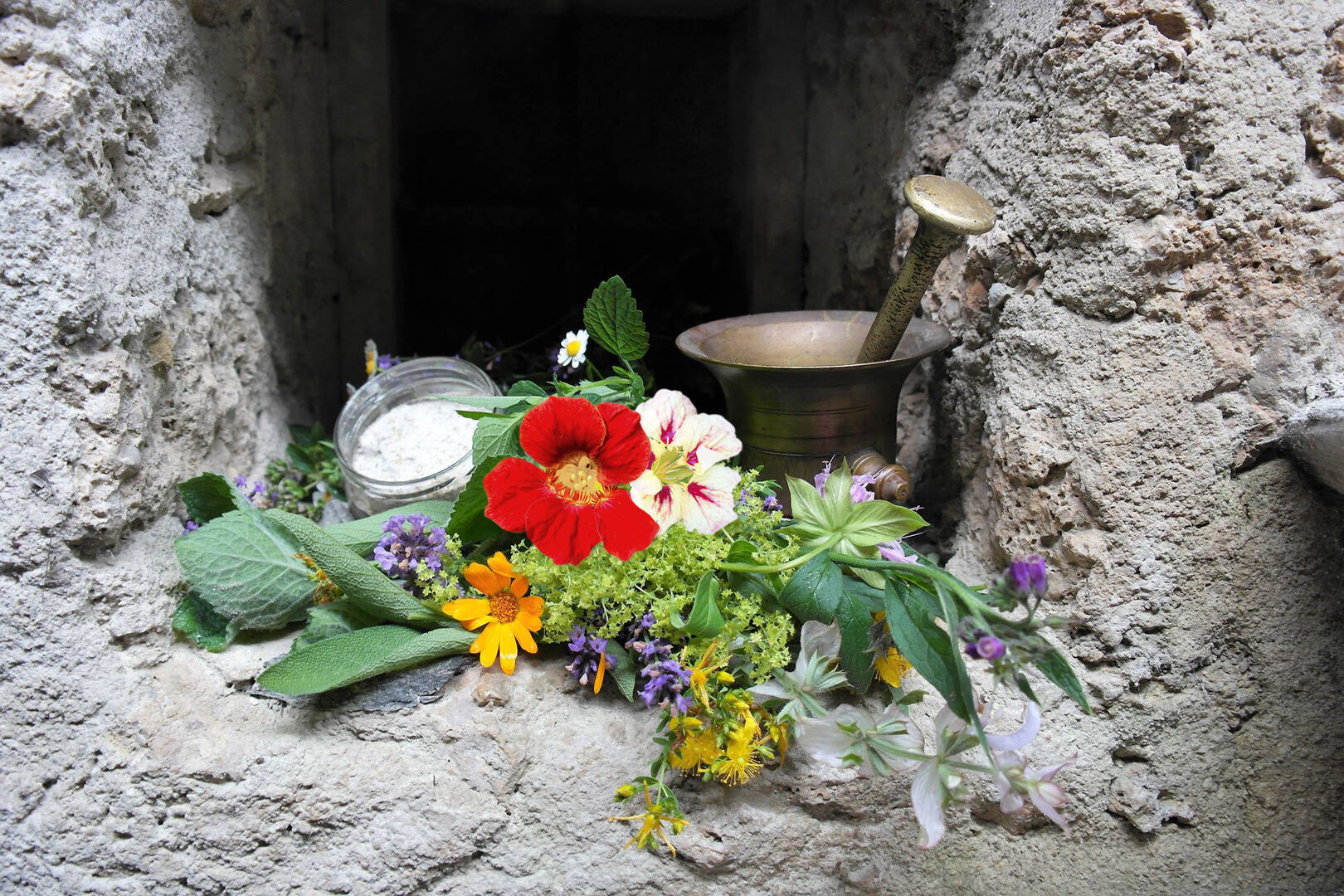 Naturkräuter und Mörser zur Herstellung von Kräutersalz