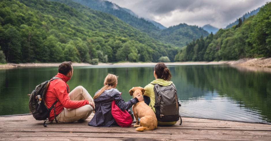 Urlaub Hund Niederösterreich