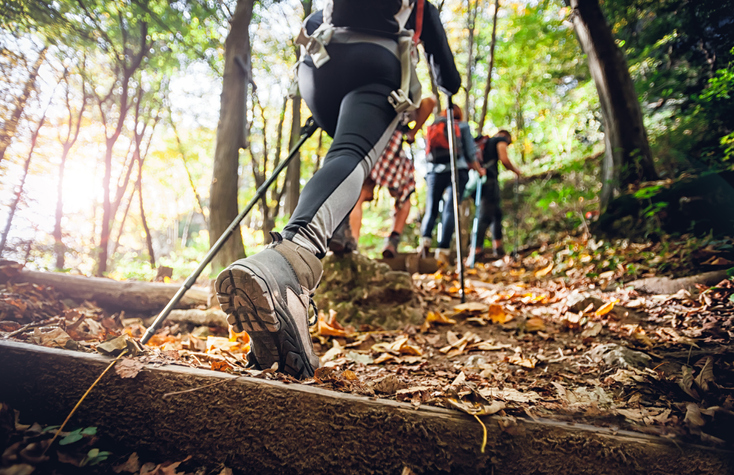 Wandergruppe im sonnigen Wald | Credit: iStock.com/leszekglasner