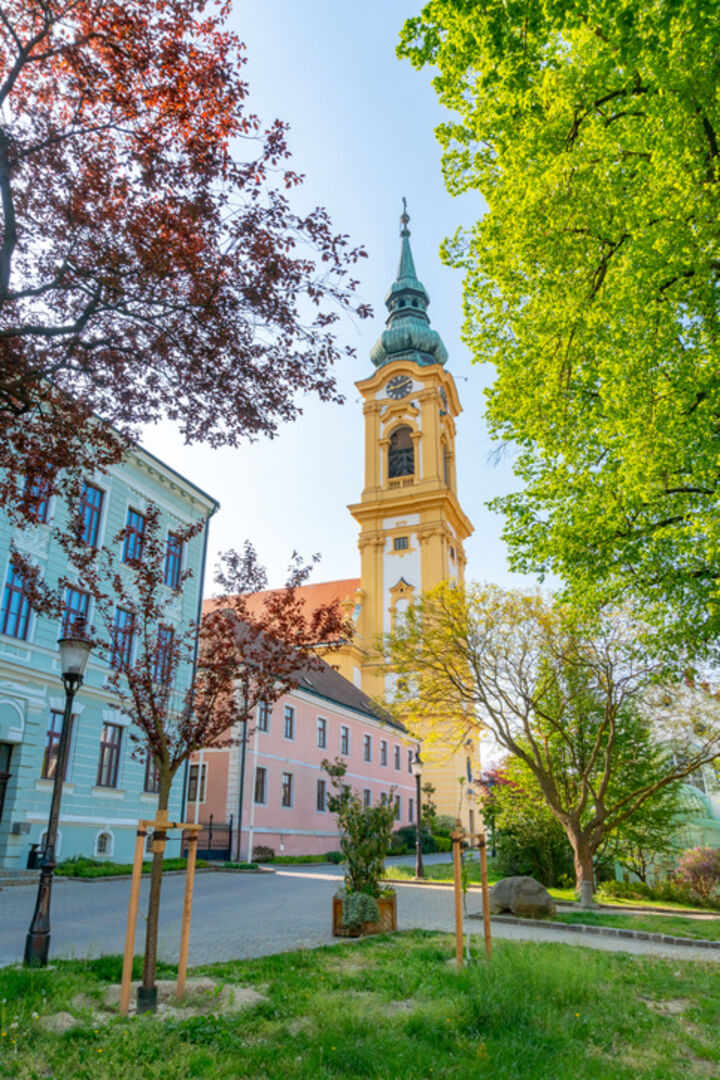 Stadtpfarrkirche Stockerau im Frühling | Credit: iStock.com/mdworschak