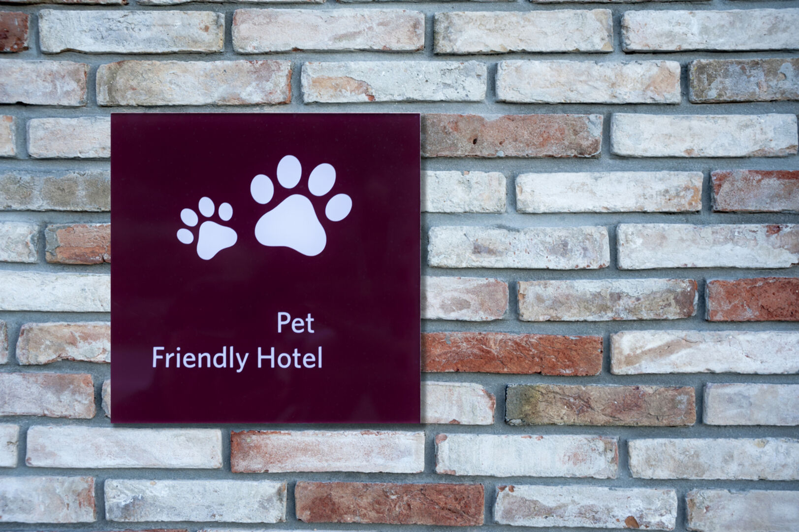 Hundfreundliche Hotels