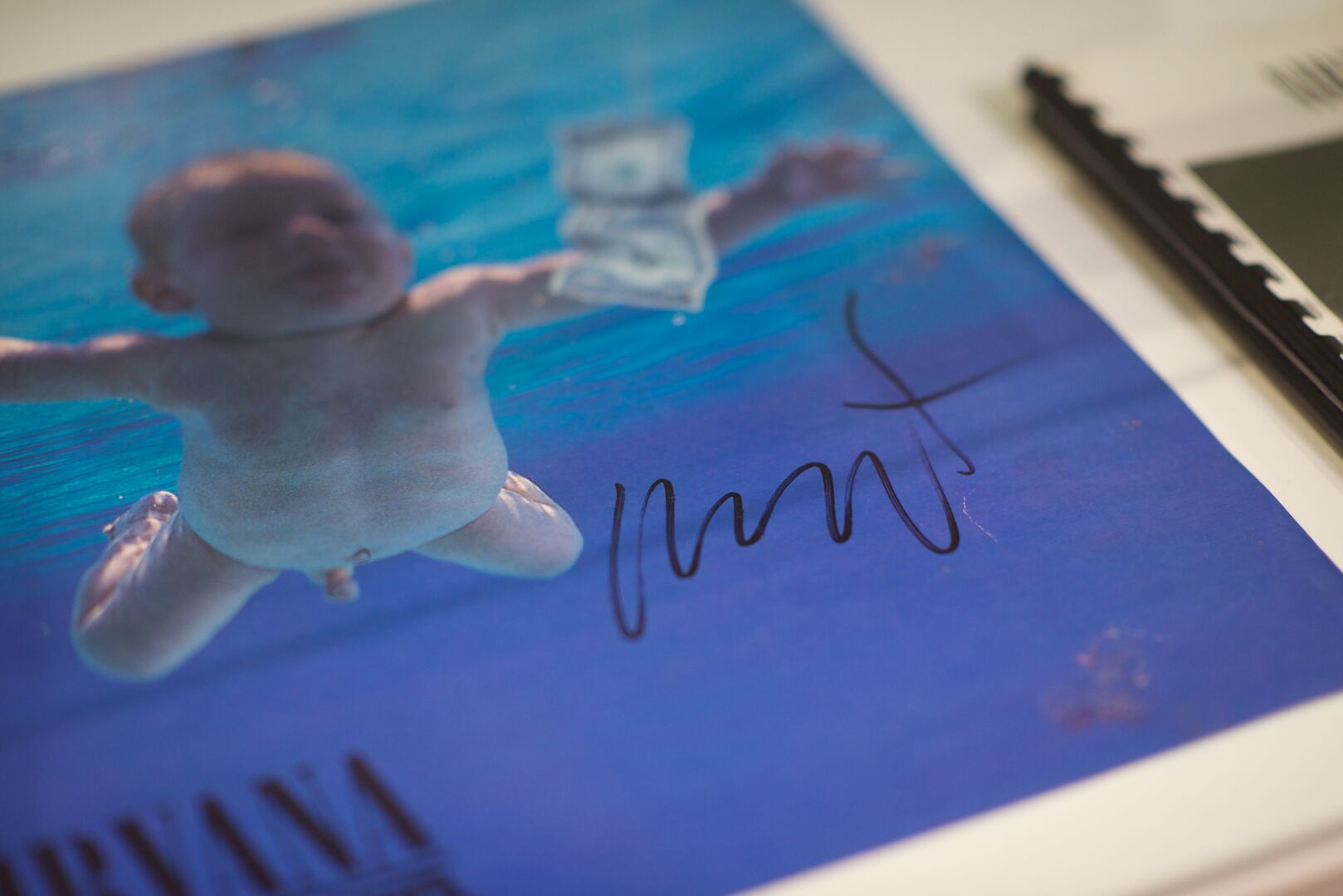 Das Nirvana-Album &quot;Nevermind&quot;