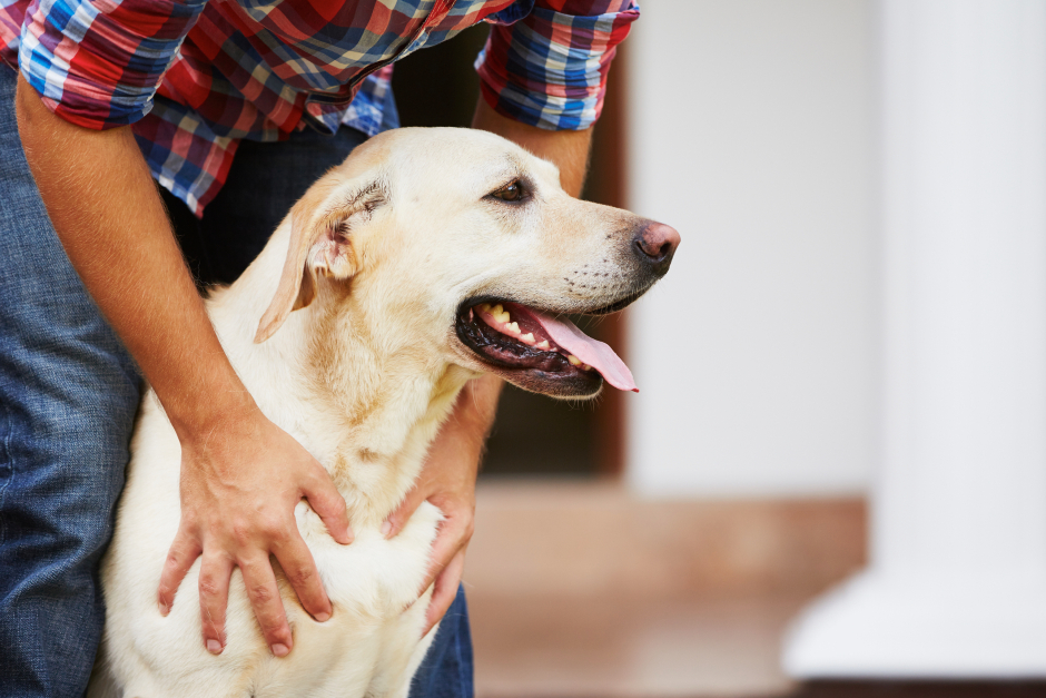 Besitzer mit seiner Hündin | Credit: iStock.com/Chalabala