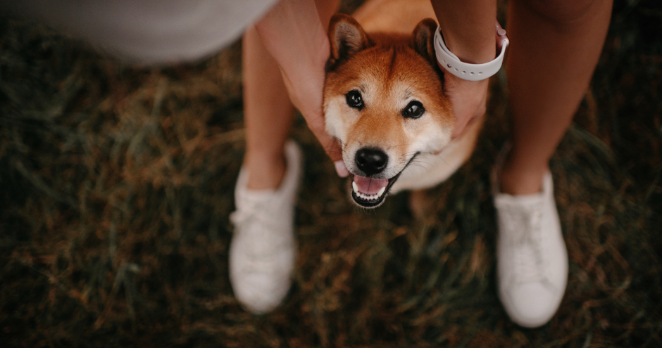 Besitzerin mit ihrer Hündin | Credit: iStock.com/Ksenia Raykova