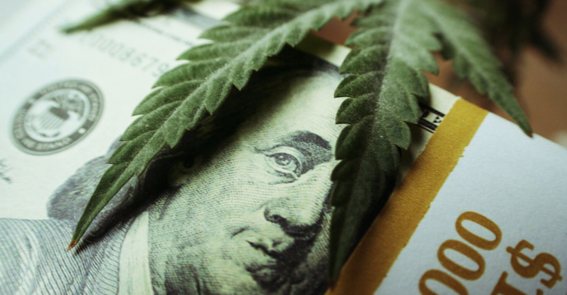Ein Mariuhana-Blatt liegt auf einem Geldschein.
