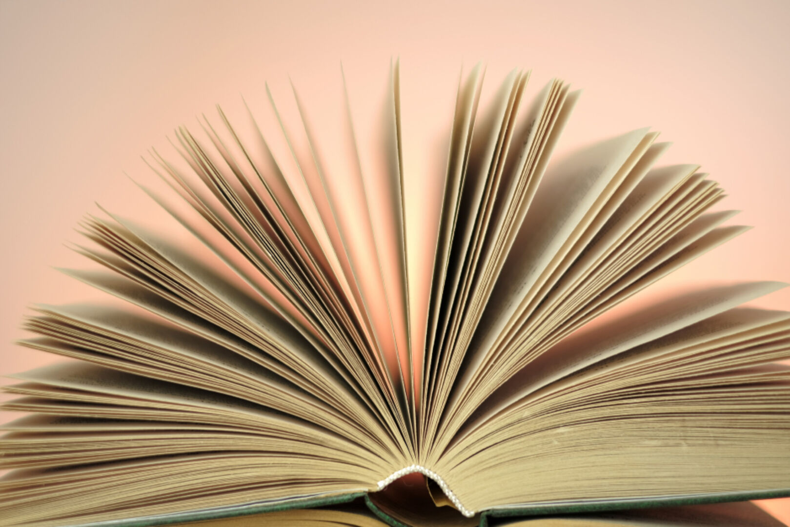 Aufgeschlagenes Buch | Credit: iStock.com/yul38885