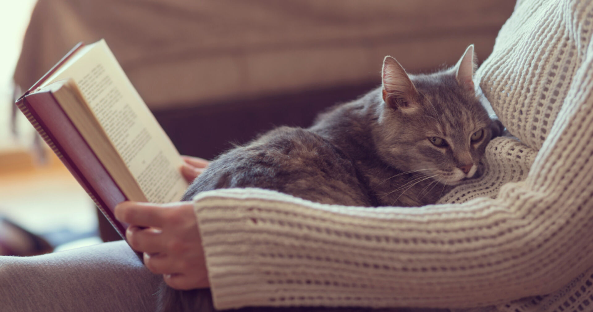 Frau mit Katze auf dem Schoß entspannt beim Lesen | Credit: iStock.com/vladans