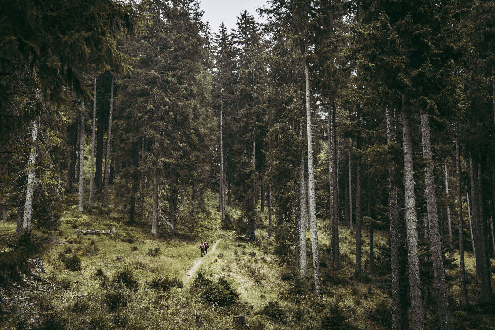 Luchs-Trail | Credit: Max Mauthner/Luchs-Trail