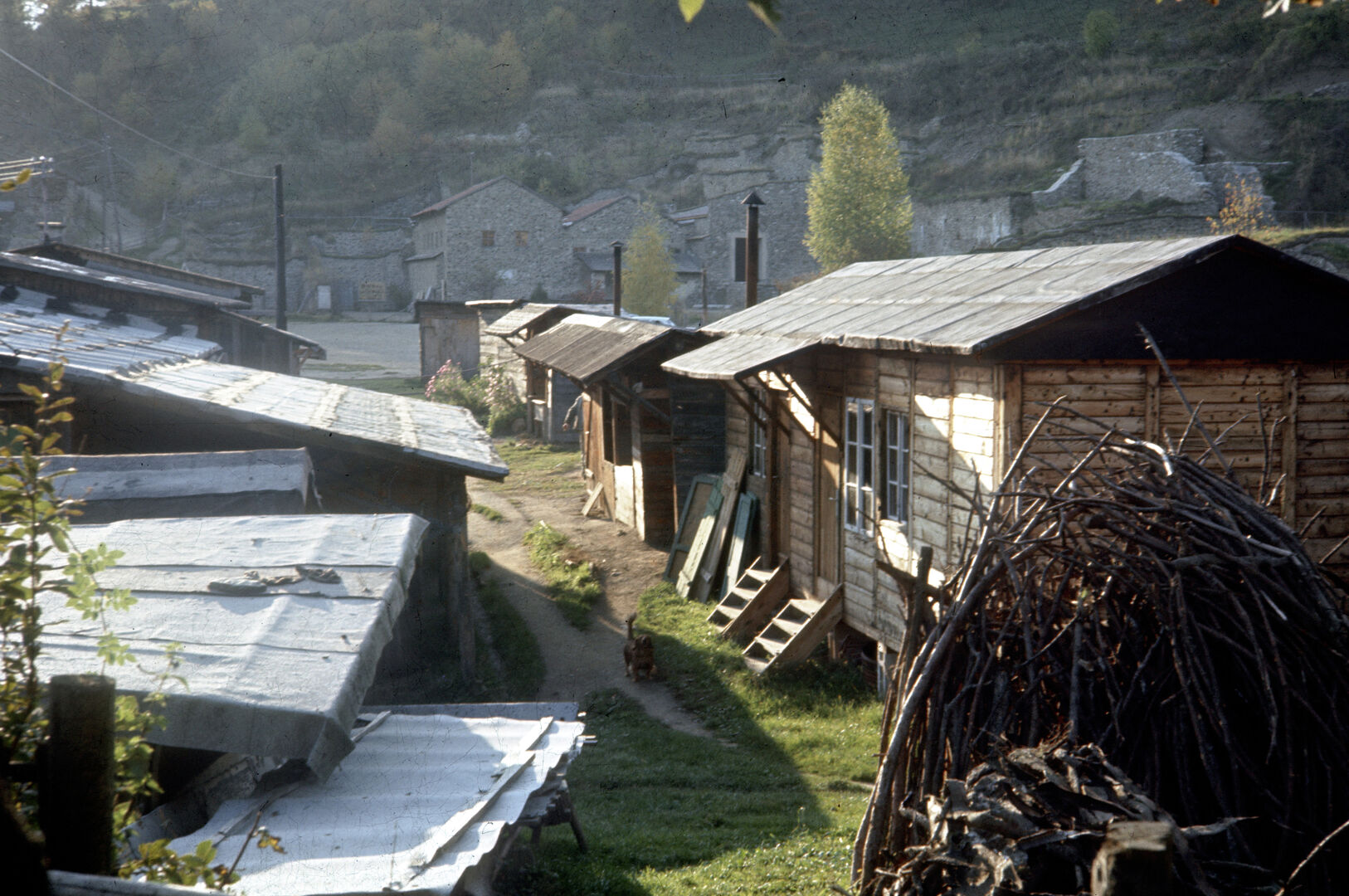 Archäologische Arbeiten am Magdalensberg