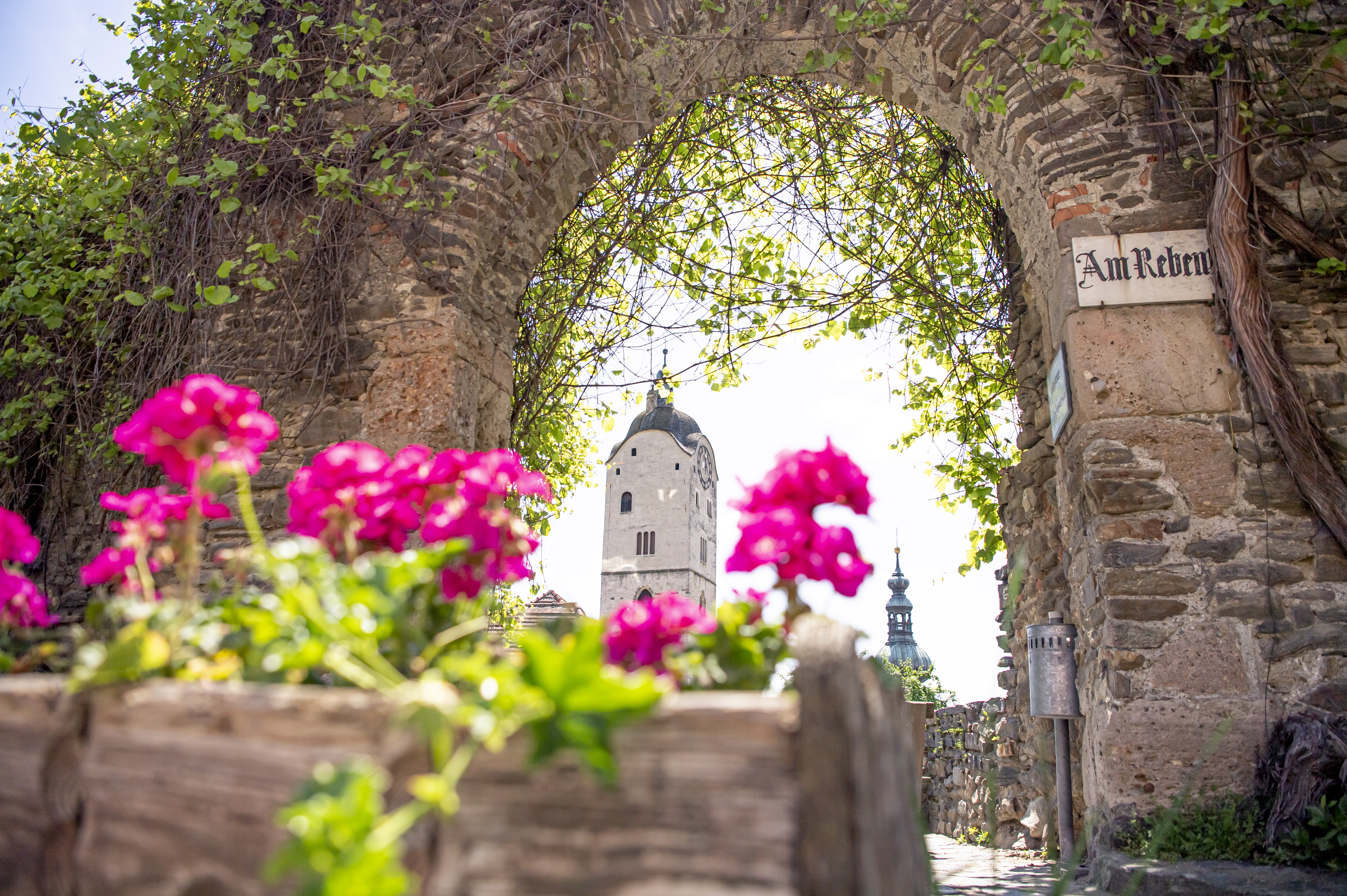 Welterbesteig Wachau | Credit: Donau Niederösterreich/Robert Herbst