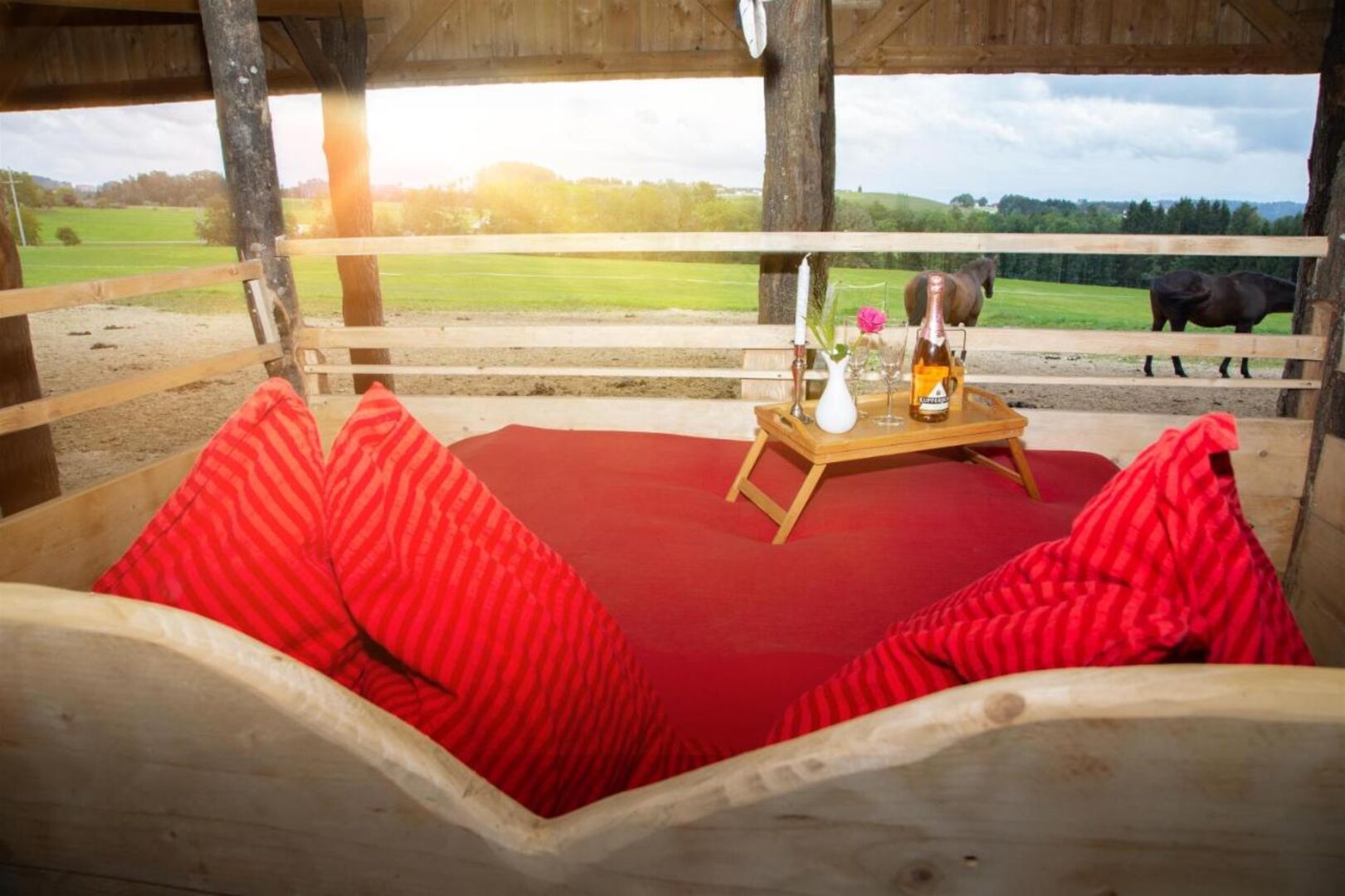 Mit Blick zu den Pferden | Credit: Booking via Holidu