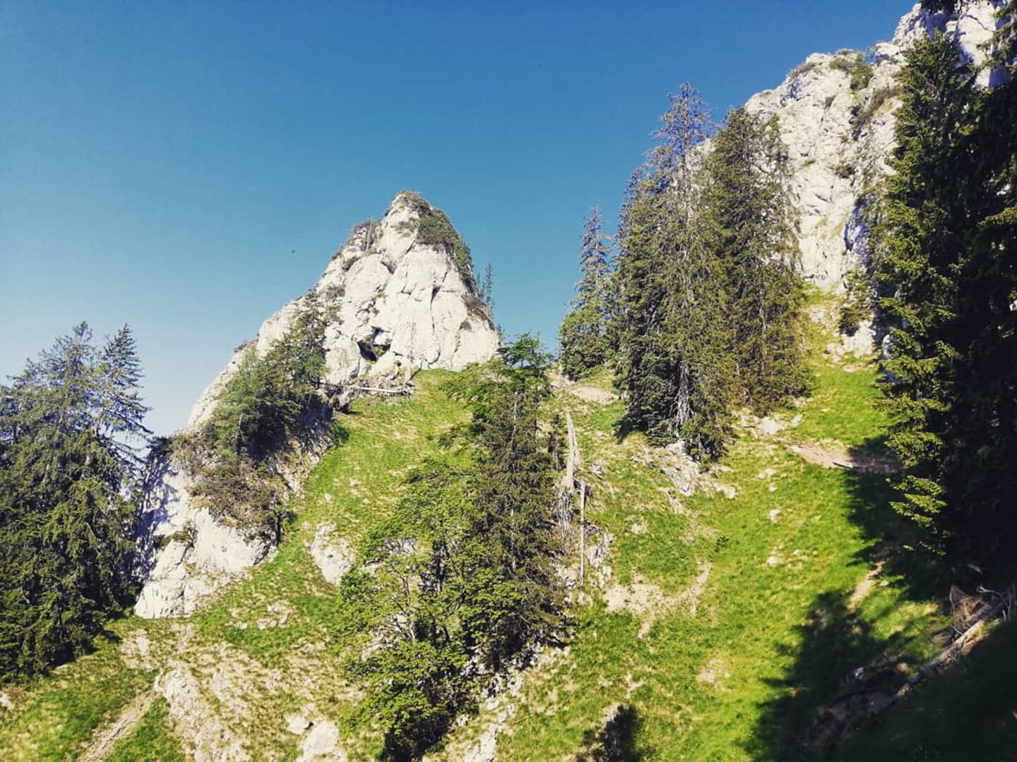 Auf dem Weg zum Sparber | Credit: Simone Reitmeier